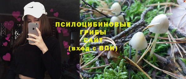 герыч Алексин
