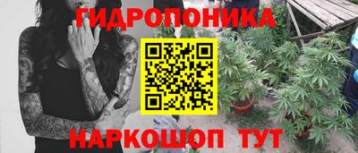 ALPHA PVP Краснознаменск