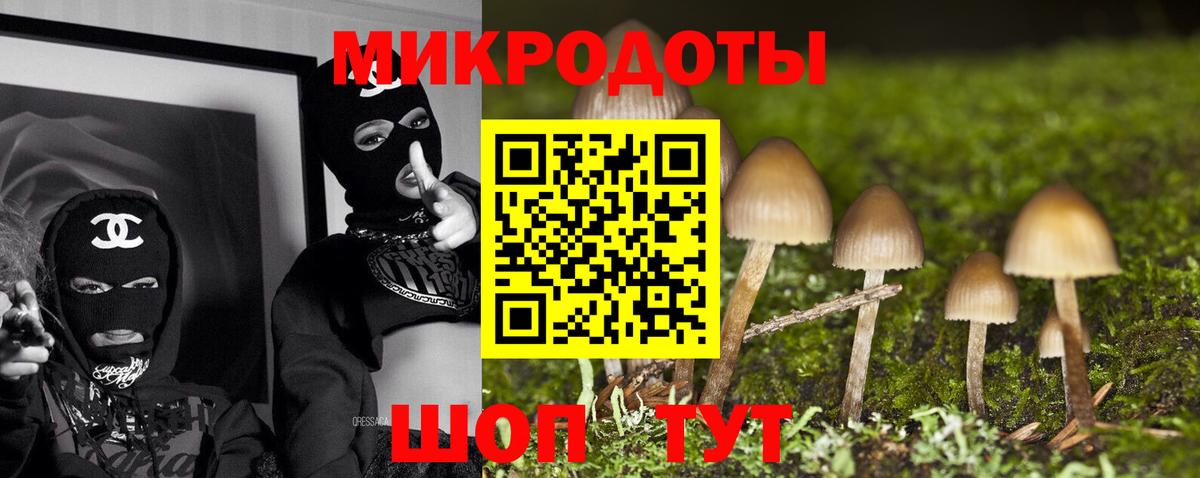 Псилоцибиновые грибы MAGIC MUSHROOMS Кудымкар
