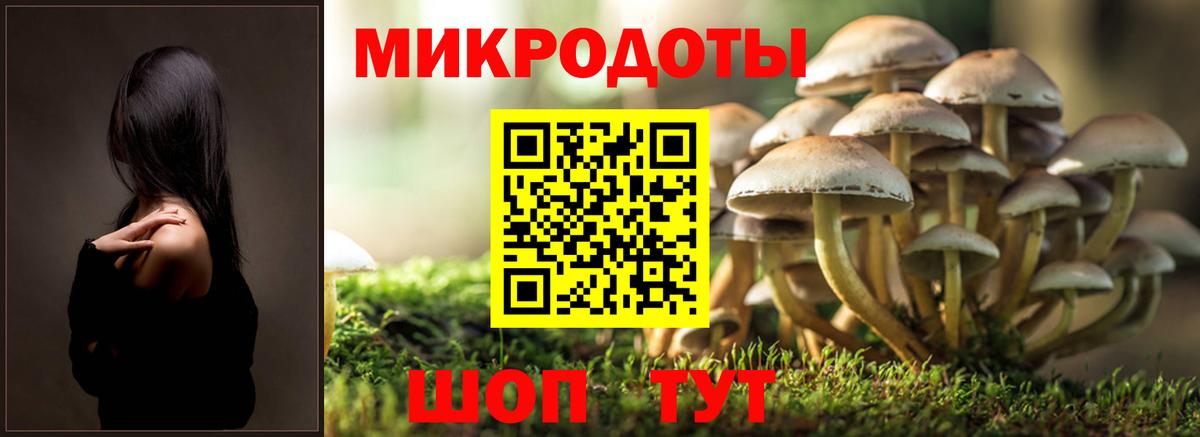 Кудымкар  Галлюциногенные грибы Psilocybe  Вход с VPN 